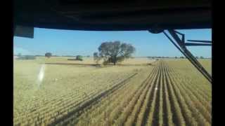 Australia harvest 2012 / Moisson en Australie 2012