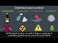 Dubai Municipality FoodWatch - Pest Control With Arabic Subtitles