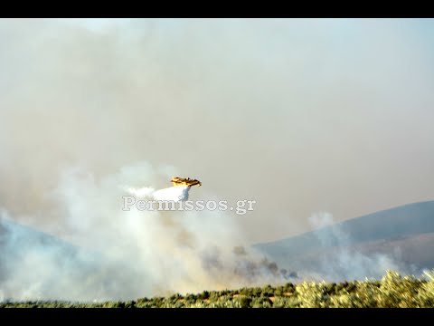Φωτιά στον Πρόδρομο