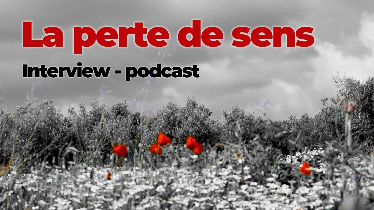 La perte de sens - Interview