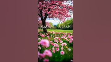 ولاتخزني يوم يبعثون الشيخ احمد النفيس #quran #المصحف #راحة_نفسية #تلاوة_خاشعة #احمد_النفيس