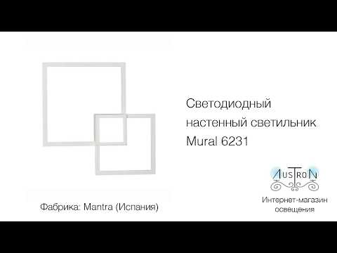 Видео обзор на настенный светодиодный светильник Mural 6231(Mantra)