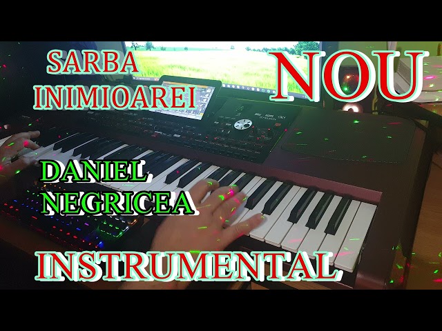 █▬█ █ ▀█▀ 2023 - Sarba  Inimioarei- Daniel Negricea [Domn' Profesor Danciu] class=