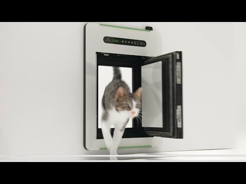 petWALK - The new freedom | Innovative dog doors & cat doors