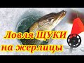 Ловля ЩУКИ на Жерлицы в Глухозимье / Зимняя рыбалка в Беларуси 2022