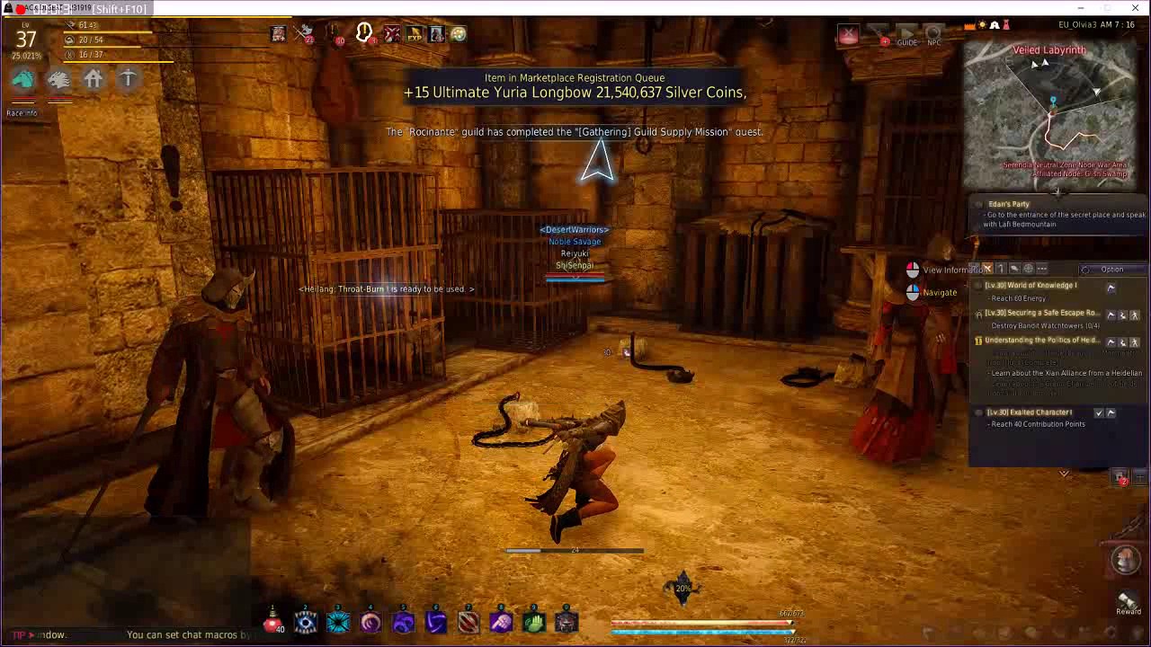 BDO Tamer Gameplay lvl 30's - YouTube