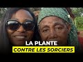 Voici la plante qu'utilisent les pygmées contre les SORCIERS🙀