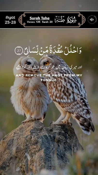 Surah Taha by Qari Fozle Azim, Ayat 25-28, سورۃ طٰہ #surahtaha #quran #islam #birds #shorts #viral