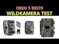 Beste Wildkamera Test 2019 Beste Wildkamera Test 2019