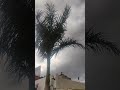 ¿ llegará está agua a Zapopan? que opinan