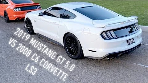 2019 Mustang GT 5.0 vs 2008 C6 Corvette LS3