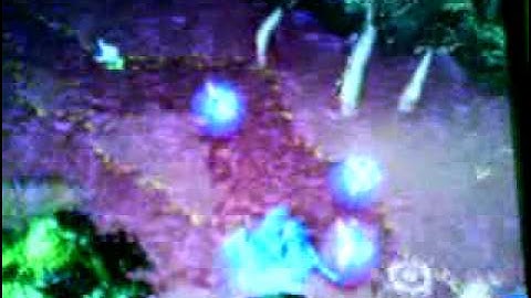 LINKEN RUNE BUGGED 6.67c.MP4