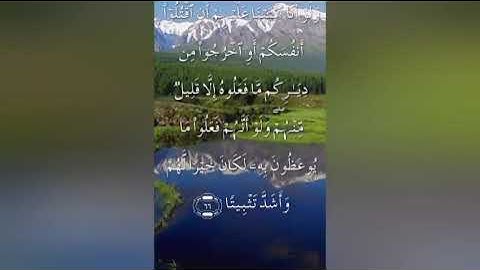 سورة النساء صفحة ٨٩ بصوت القارئ سعد الغامدي