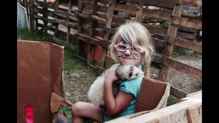 Pumpkin Patch 2016