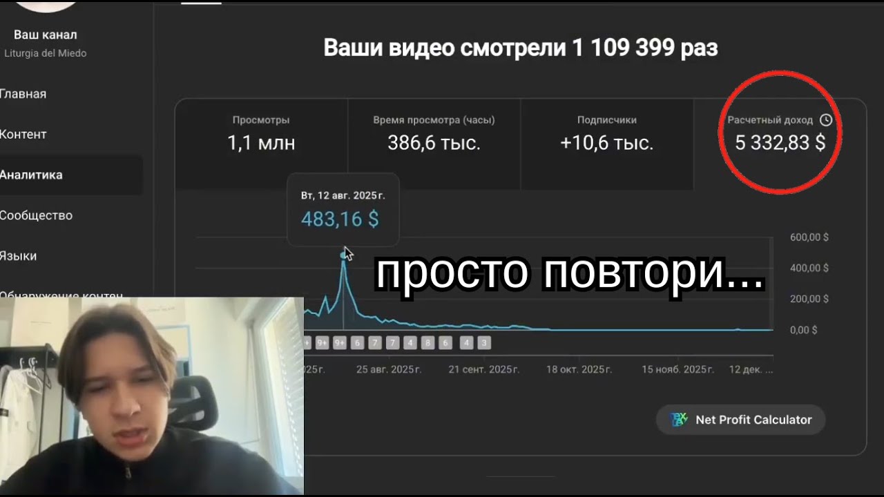 вот как я заработал 5 332$ копируя чужие видео