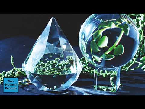 Outer Spaces — Outer Spaces - A Shedding Snake [FULL ALBUM STREAM]
