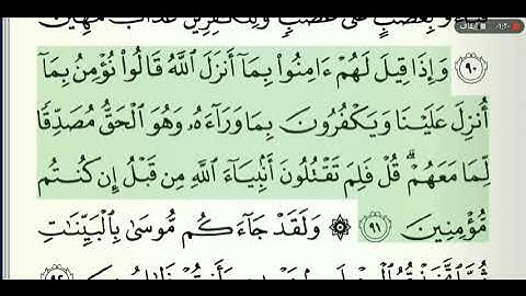 صفحة رقم 14 الشيخ وديع اليمني القرآن الكريم