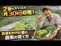 「2畳のスペースで月30kg収穫！お金をかけない昔の農家の育て方」 | 雑草対策