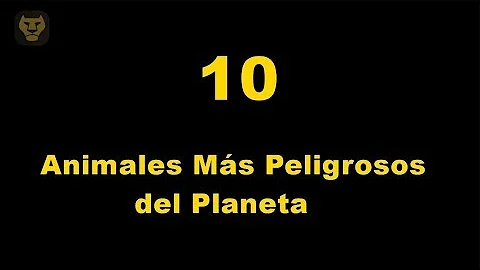 ¿Cuáles son los 10 animales más mortíferos del planeta?