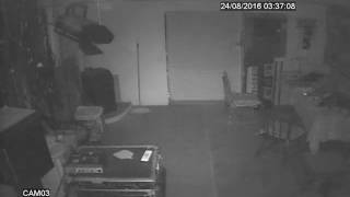 Terremoto Del 24 Agosto 2016