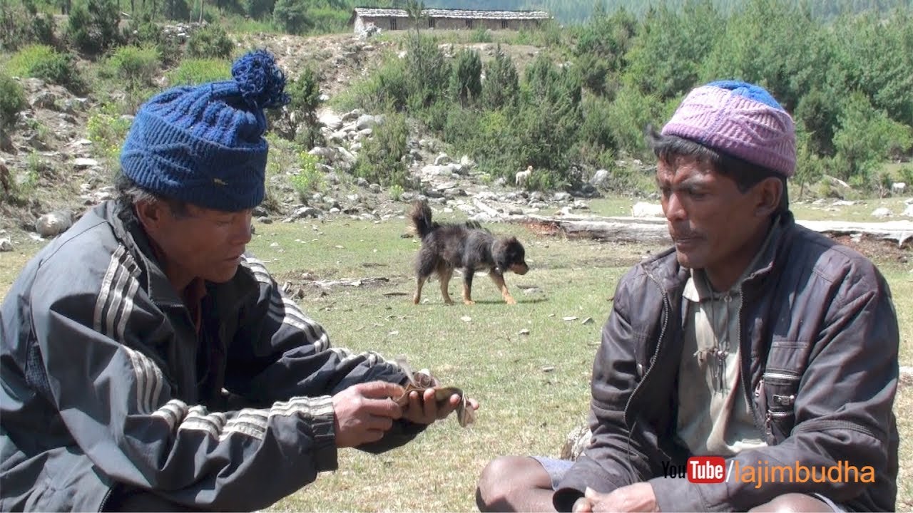 Himalayan way to deal business || sheep farm || 