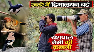 खतरे में Himalayan Bird। Chopta tungnath है bird watching का स्वर्ग। rural tales