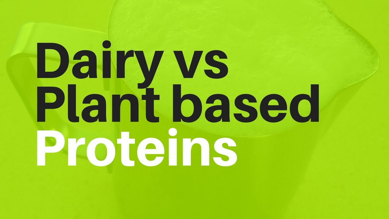 Dairy vs Plant Based Protein Supplements YouTube
