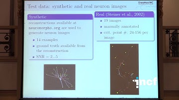 Miroslav Radojevic - Critical points detection in neuron microscopy images (2014)