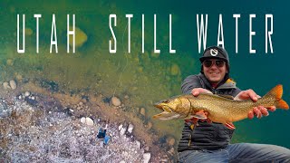 Fly Fishing For Hybrids | Utah Trophy Trout