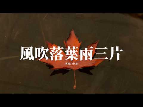 z阿康 - 風吹落葉兩三片『風把落葉一片兩片，吹到窗前，你的名字一遍兩遍，寫滿遺憾裡面。』【動態歌詞MV】