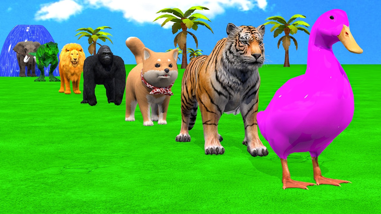 Long Slide Game With Cow Elephant Gorilla Hippopotamus Tiger - 3d Animal Game - Funny 3d Animals