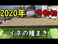 2020年令和初稲の種まき～台風15号19号まだまだ影響～【農業VLOG】