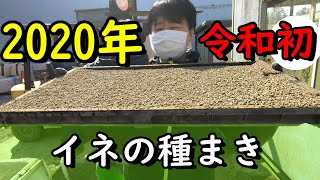 2020年令和初稲の種まき～台風15号19号まだまだ影響～【農業VLOG】