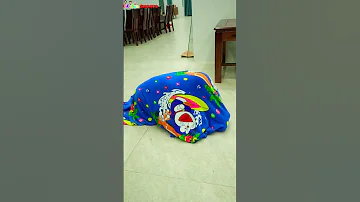 Funny Video What Is Going On Shorts Funny 