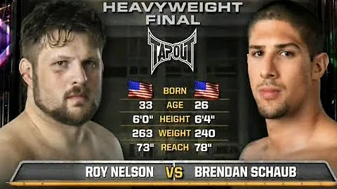 Roy Nelson vs Brendan Schaub TUF Season 10 Finale