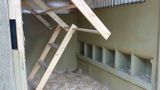If you have any questions about the building process, please visit my blog at http://dailyimprovisations.com/chicken-coop-with-