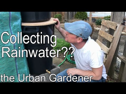 How to Build a Rainwater Collection System| Episode 86