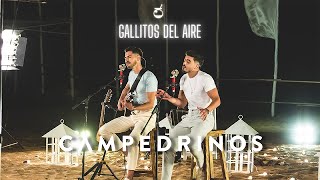 Campedrinos - GALLITOS DEL AIRE