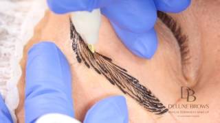 Deluxe Brows® Combined Manual Technique - Microblading Strokes and Shading Deluxe Brows® Combined Manual Technique - Microblading Strokes and Shading