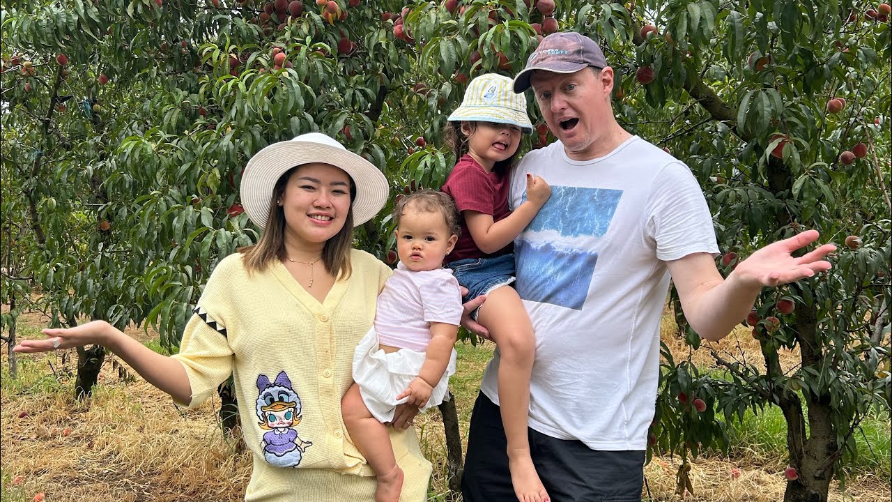 METIK BUAH BARENG KITA DI AUSI YUK GUYSSS!!!!