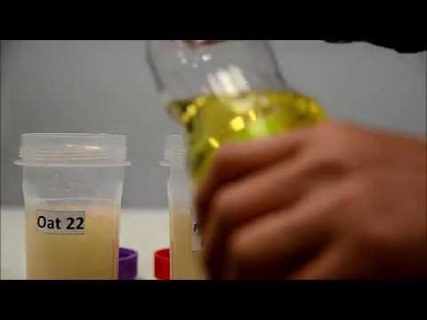 Active Oat 35 Oil Absorption Test