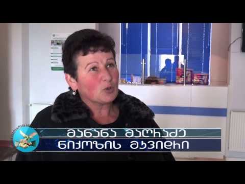 ნიქოზის ამბულატორია ჯანდაცვის სამინისტროს წარმომადგენლებმა დაათვალიერეს