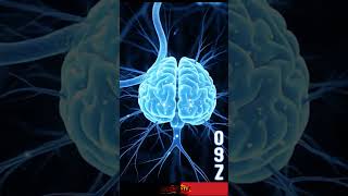 Top 5 Deadliest Drugs in the World