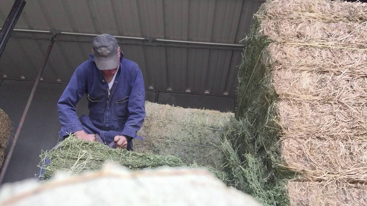 Cuttin' Enoch's Big Hay Bales Into Flakes YouTube