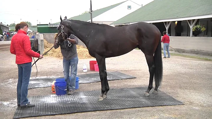 Rick Violette, Jr. + Upstart