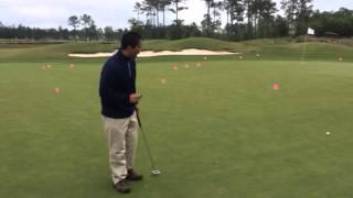 How to properly repair a ball mark