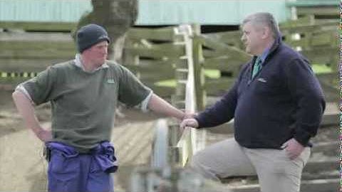 PGG Wrightson -- Preventing blowfly strike