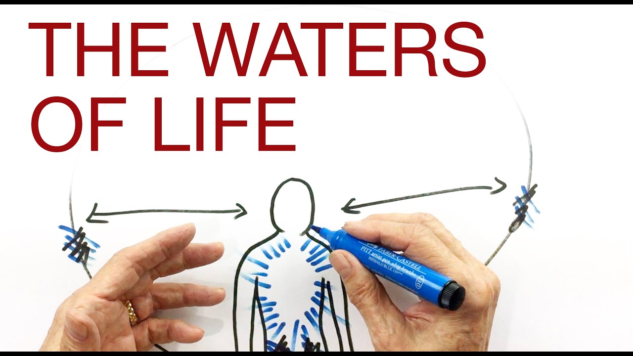 THE WATERS OF LIFE explained by Hans Wilhelm