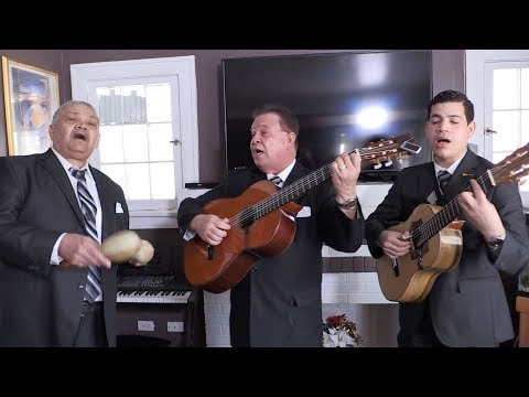 The Ana Show! A Lost Art El Trio returns!