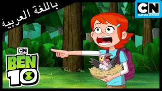 بن 10 يحارب اثنين من الهيكس | بن 10 |  كرتون نتورك
